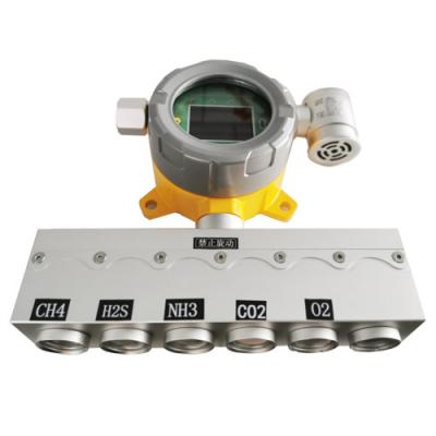 Fixed - on-line gas detector